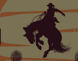 bucking-on-the-river-snelling-ca
